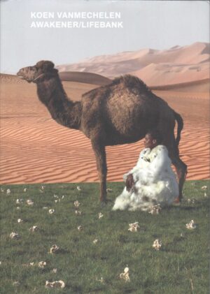 koen vanmechelen: awakener/lifebank