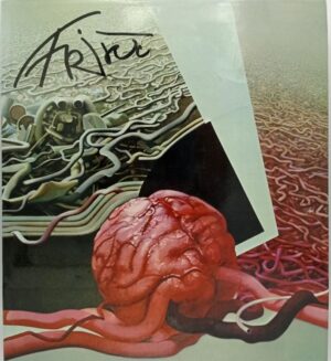 Vladimir Maleković - Friščić