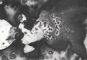 kartolina- Željko jerman