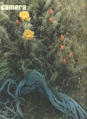 camera -marz 1973 /nr 3