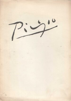pablo picasso - katalog