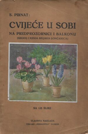 Stjepan Pirnat: Cvijeće u sobi