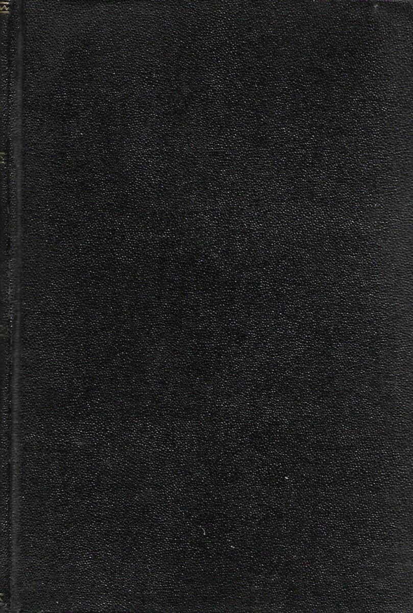 d. s. merežkovskij: uskrsli bogovi (leonardo da vinci)