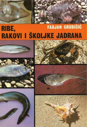 fabjan grubišić: ribe, rakovi i školjke jadrana