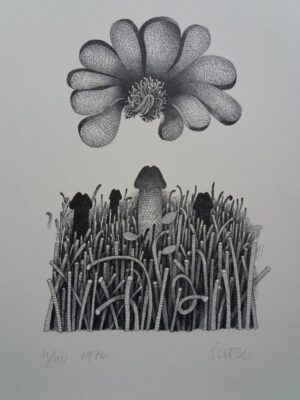 Miroslav Šutej: Grafika