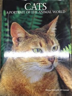 Marcus Schneck i Jill Caravan: Cats - A Portrait of the Animal World