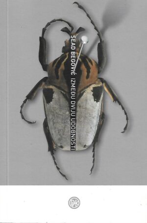 Sead Begović: Između dviju udobnosti