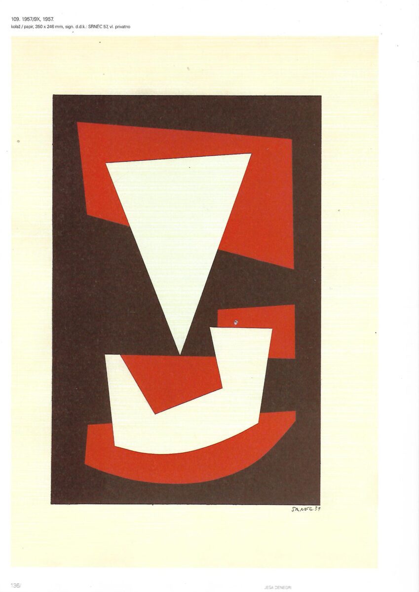 aleksandar srnec: prisutna odsutnost - monografija