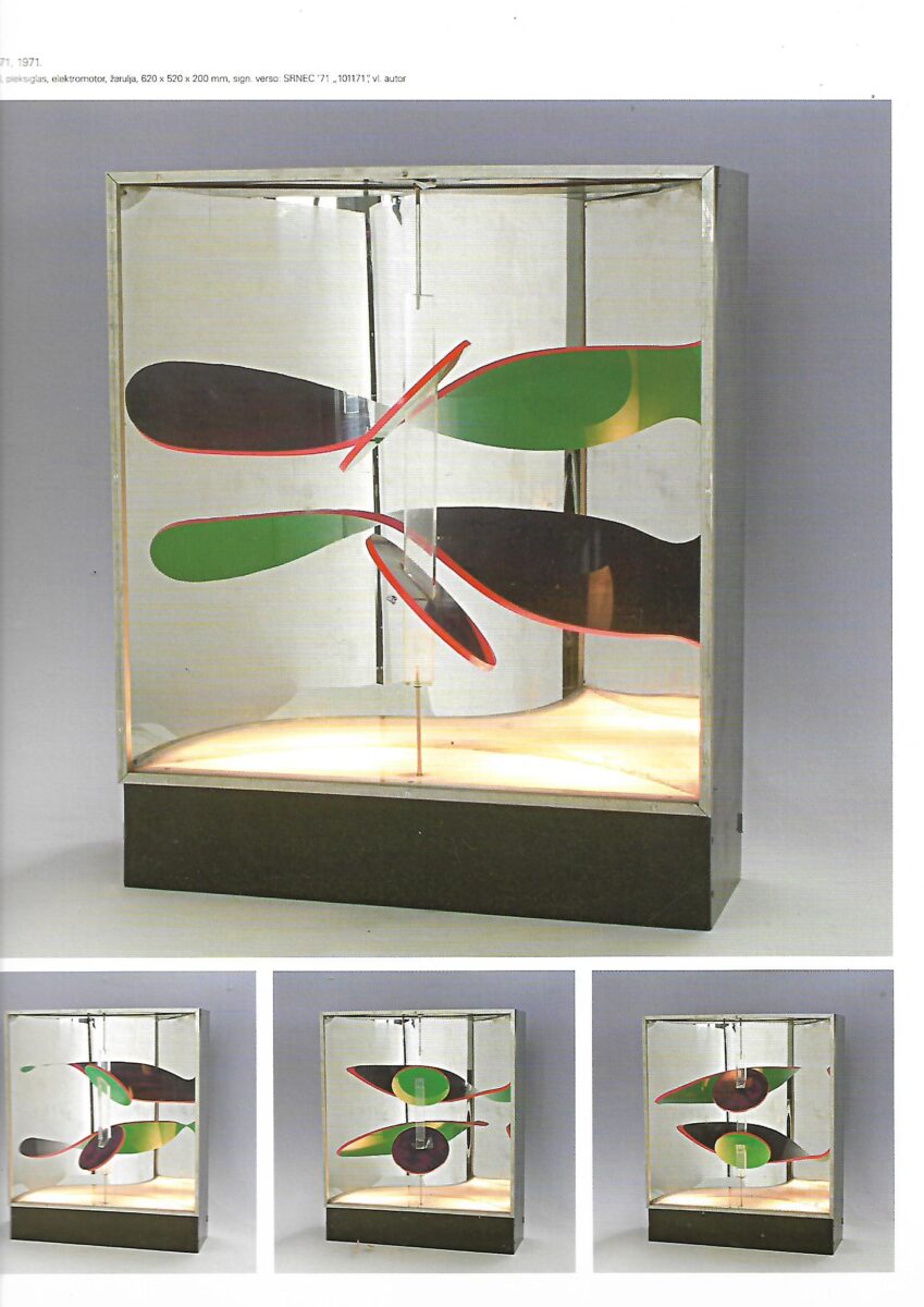 aleksandar srnec: prisutna odsutnost - monografija