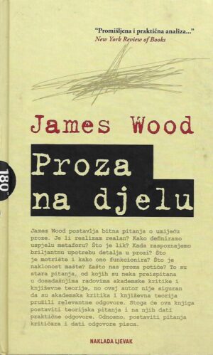 James Wood: Proza na djelu