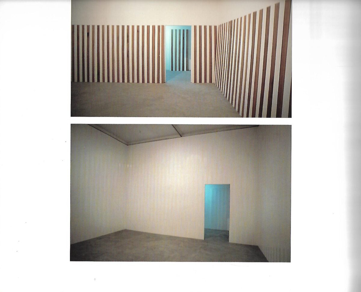 Guy Lelong: Daniel Buren - Slika 3