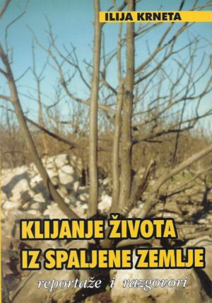 Ilija Krneta: Klijanje života iz spaljene zemlje