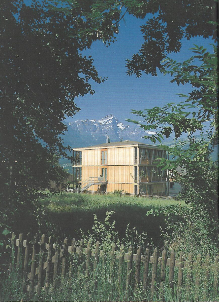 Valentin Bearth, Andrea Deplazes: Raumlinge - Slika 2