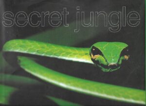 Nicole Viloteau: Secret Jungle