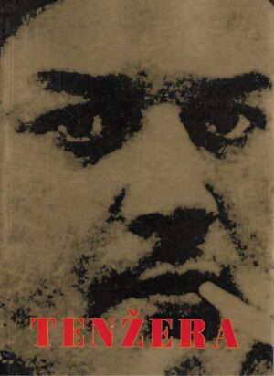 Veselko Tenžera: Likovne teme