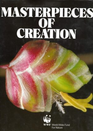 Materpieces of Creation