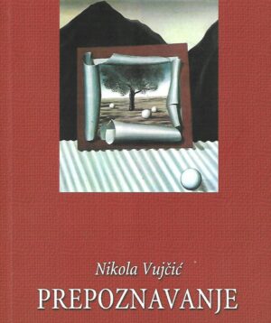 Nikola Vujčić: Prepoznavanje