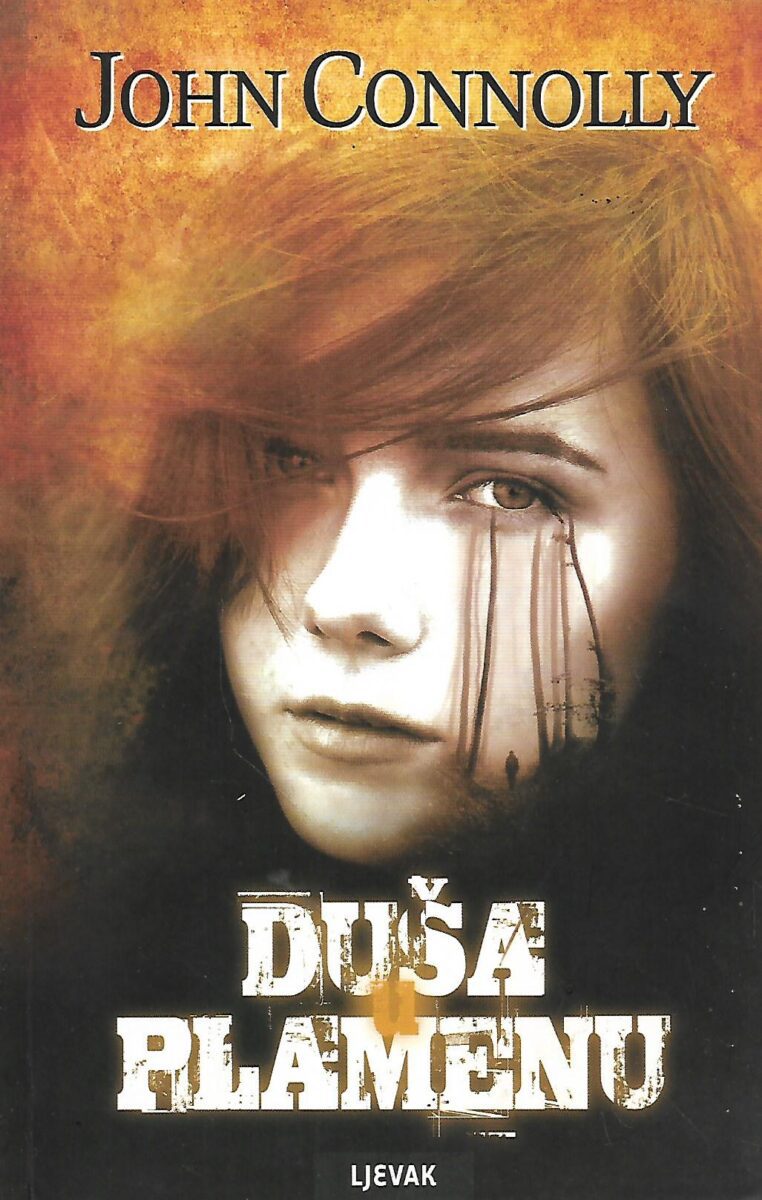 John Connolly: Duša plamenu