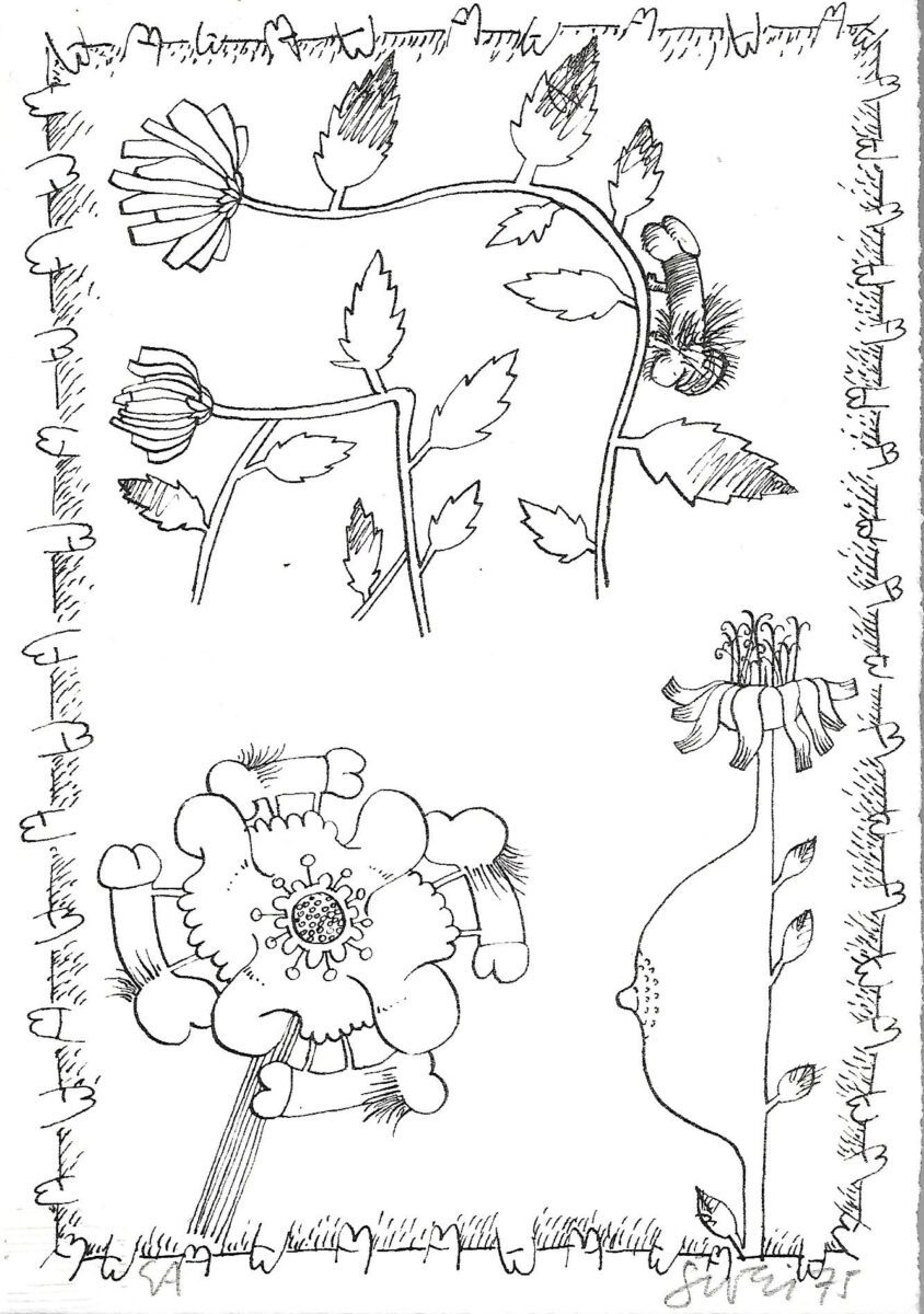 Miroslav Šutej: Grafika