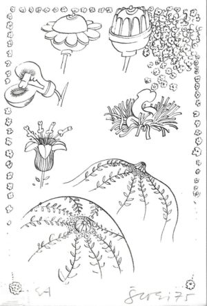 Miroslav Šutej: Grafika