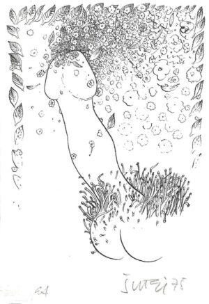 Miroslav Šutej: Grafika