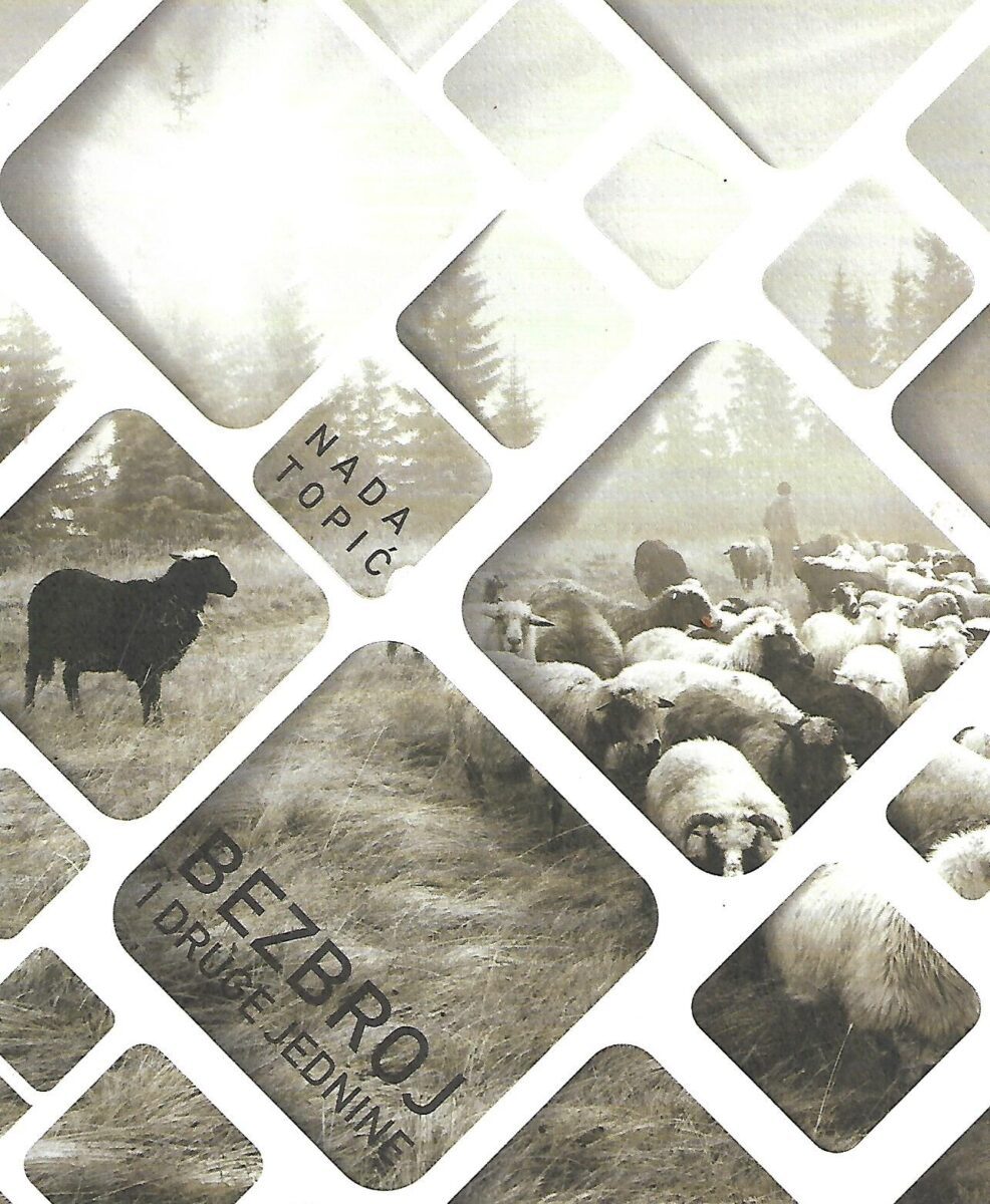 Nada Topić: Bezbroj u druge jednine