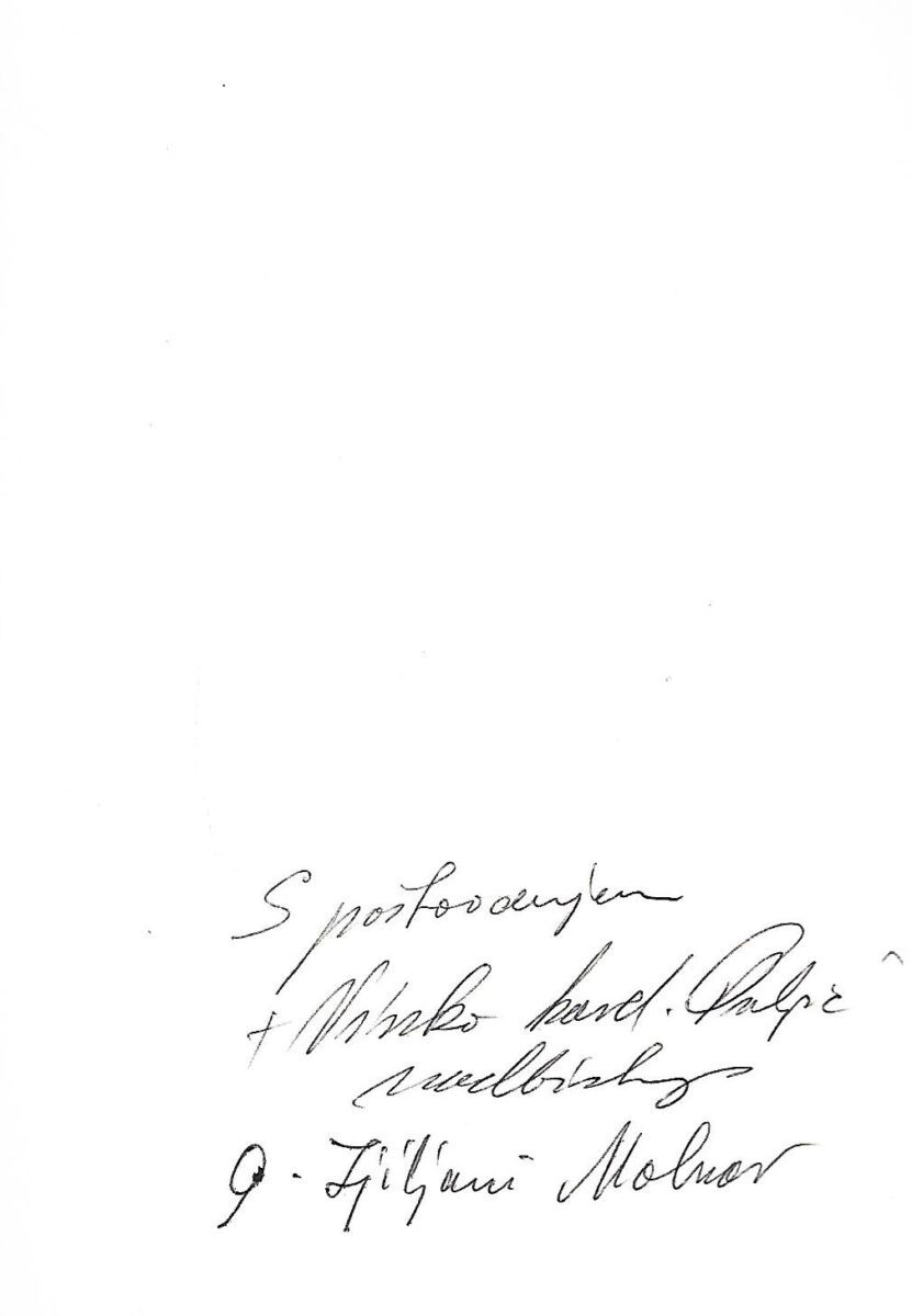 Vinko Puljić: O stradanjima s nadom - s potpisom - Slika 2