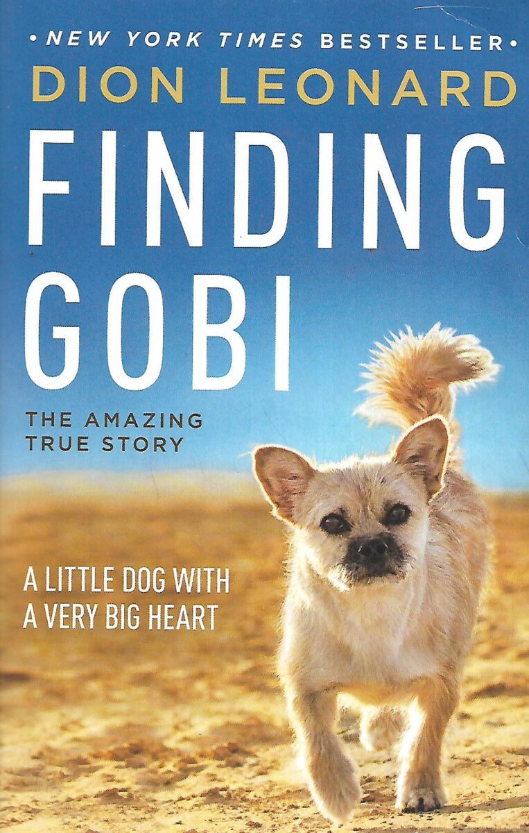 Dion Leonard: Finding Gobi