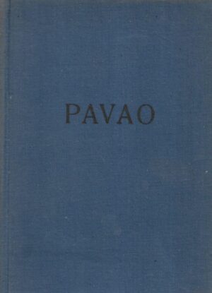 Josef Holzner: Pavao