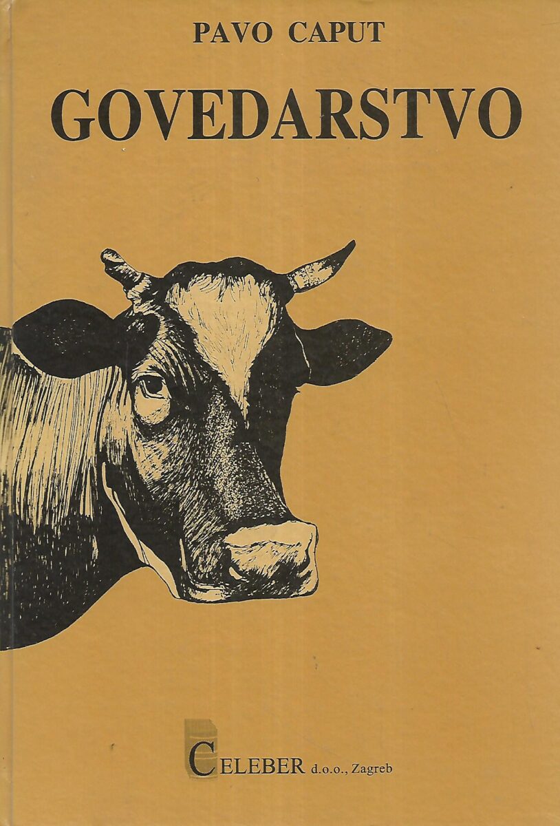 Pavo Caput: Govedarstvo
