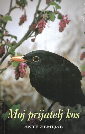 Ante Zemljar: Moj prijatelj kos
