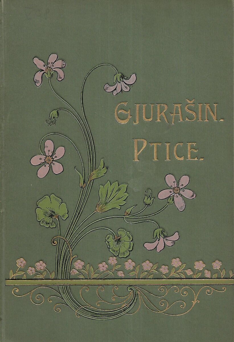 dr. Stjepan Gjurašin: Ptice - prirodopisne i kulturne crtice (dio drugi)