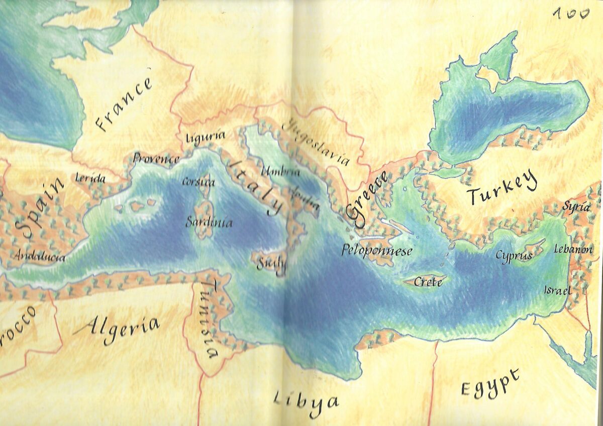 Anne Dolamore: The Essential Olive Oil Companion - Slika 2