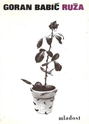 Goran Babić: Ruža