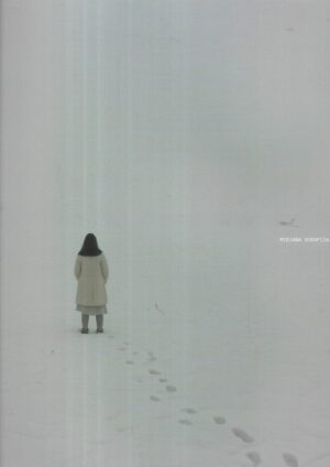 mirjana vodopija: nepovratno / irreversible - katalog