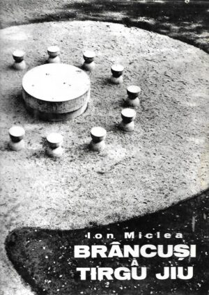 ion miclea: brancusi a tirgu jiu