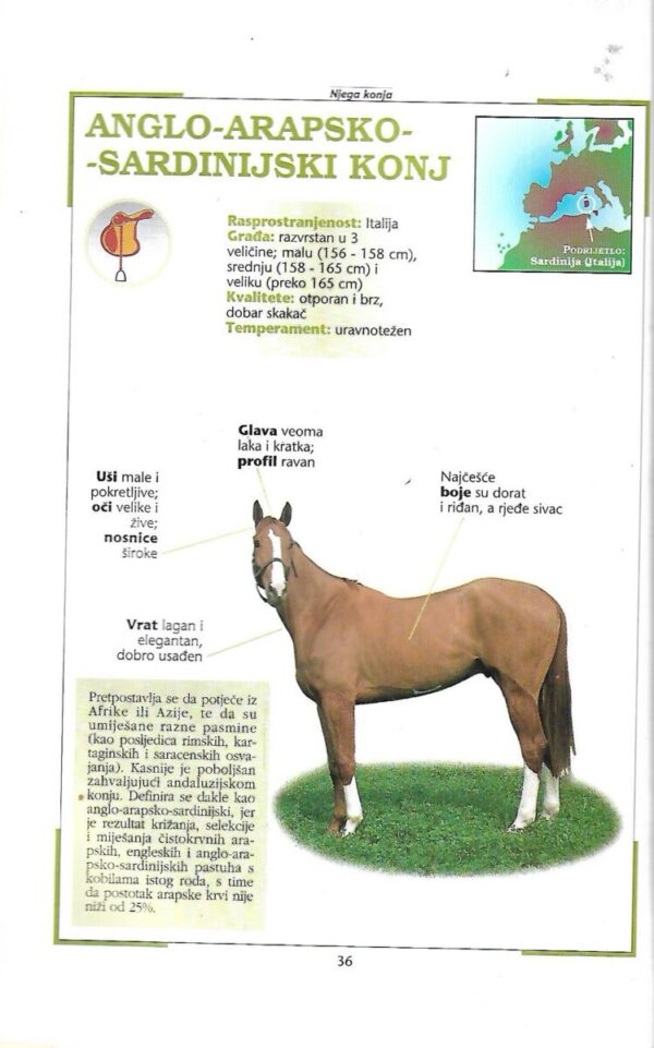 cinzia zorzan: ilustrirani priručnik - njega konja - pasmine, psihologija, hranidba, prva pomoć