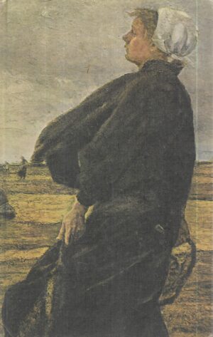 theodor storm: am grauen meer - gesammelte werke