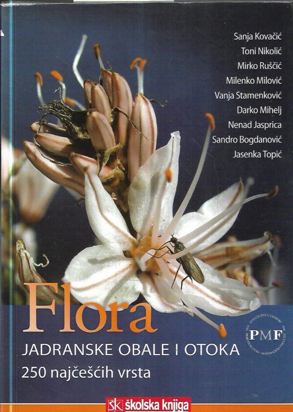 flora jadranske obale i otoka, 250 najčešćih vrsta