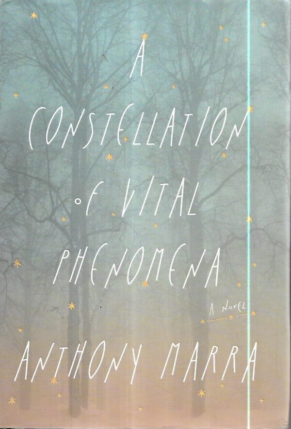 anthony marra: constellation of vital phenomena