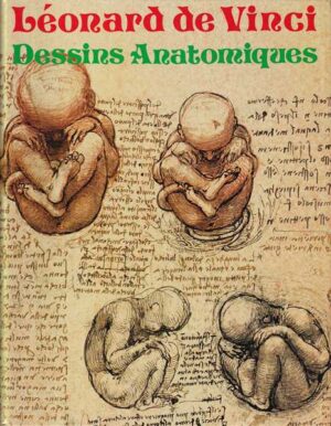 leonard de vinci: dessins anatomiques