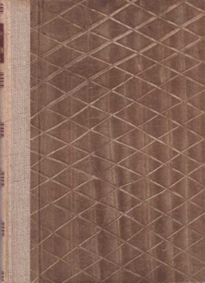 mile budak: novellen