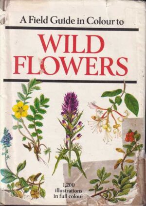 dietmar aichele-a field guide in colour to wild flowers