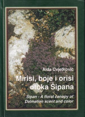 aida cvjetković: mirisi, boje i orisi otoka Šipana