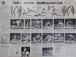 plakat yoga asana chart
