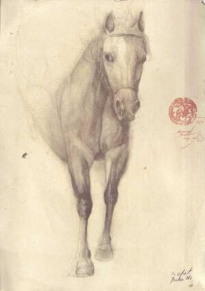original crteŽ konja s potpisom