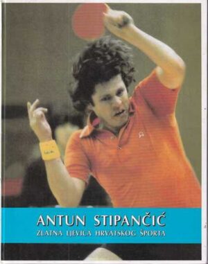 susan sontag-in america