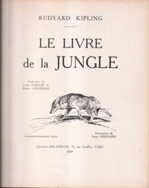barbara ann brennan: svjetlost se rađa - put ka samoiscjeljenju