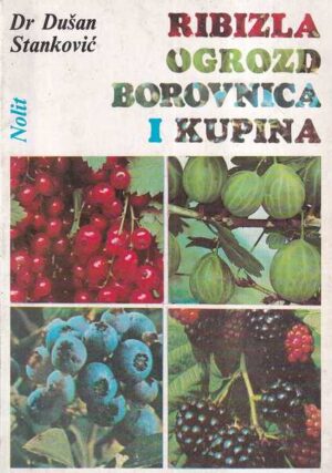 dušan stanković: ribizla, ogrozd, borovnica i kupina