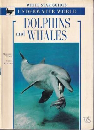 white star guides: underwater world – dolphins and whales